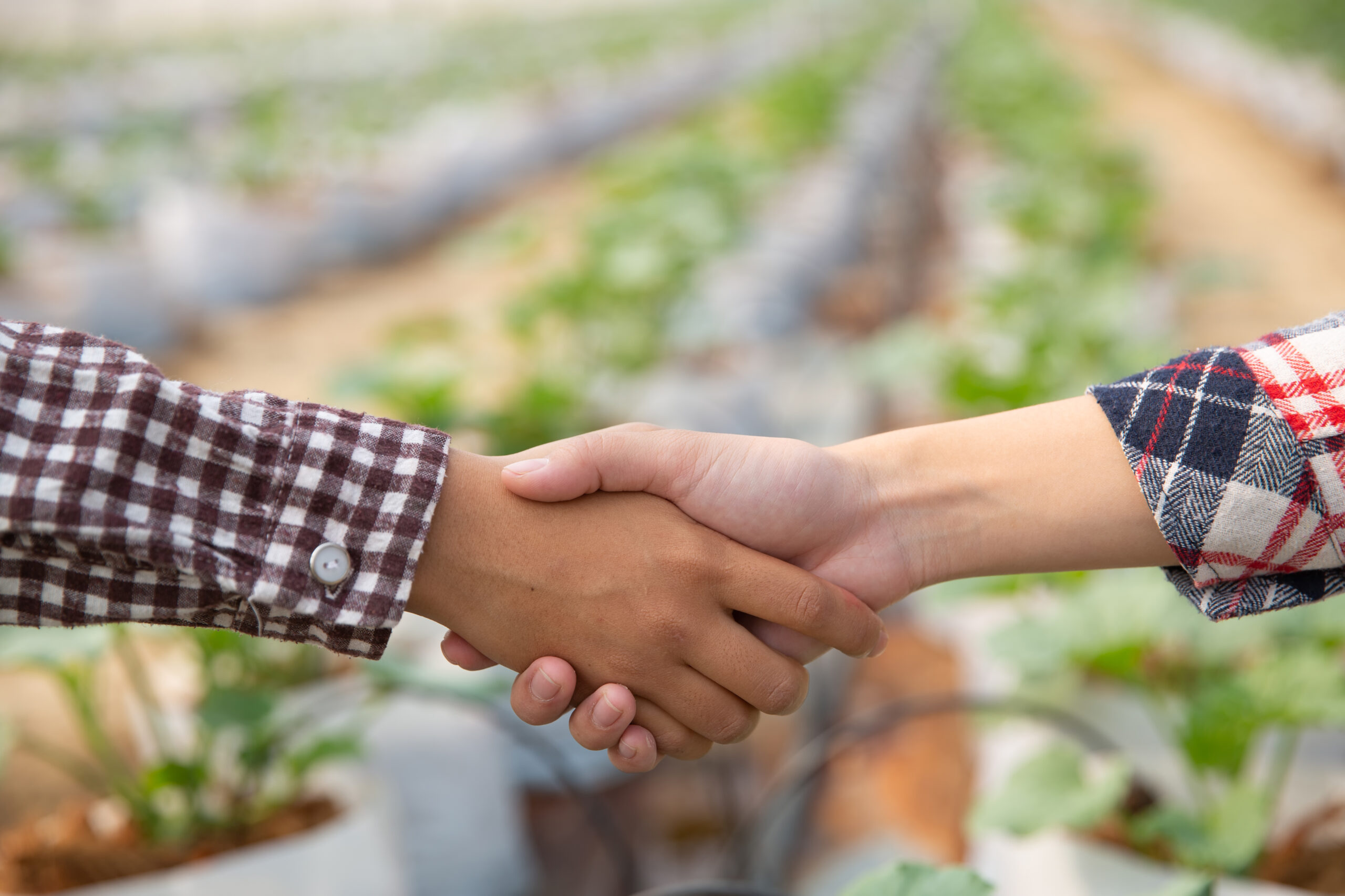 Red de Negocios Orgánicos & Sustentables