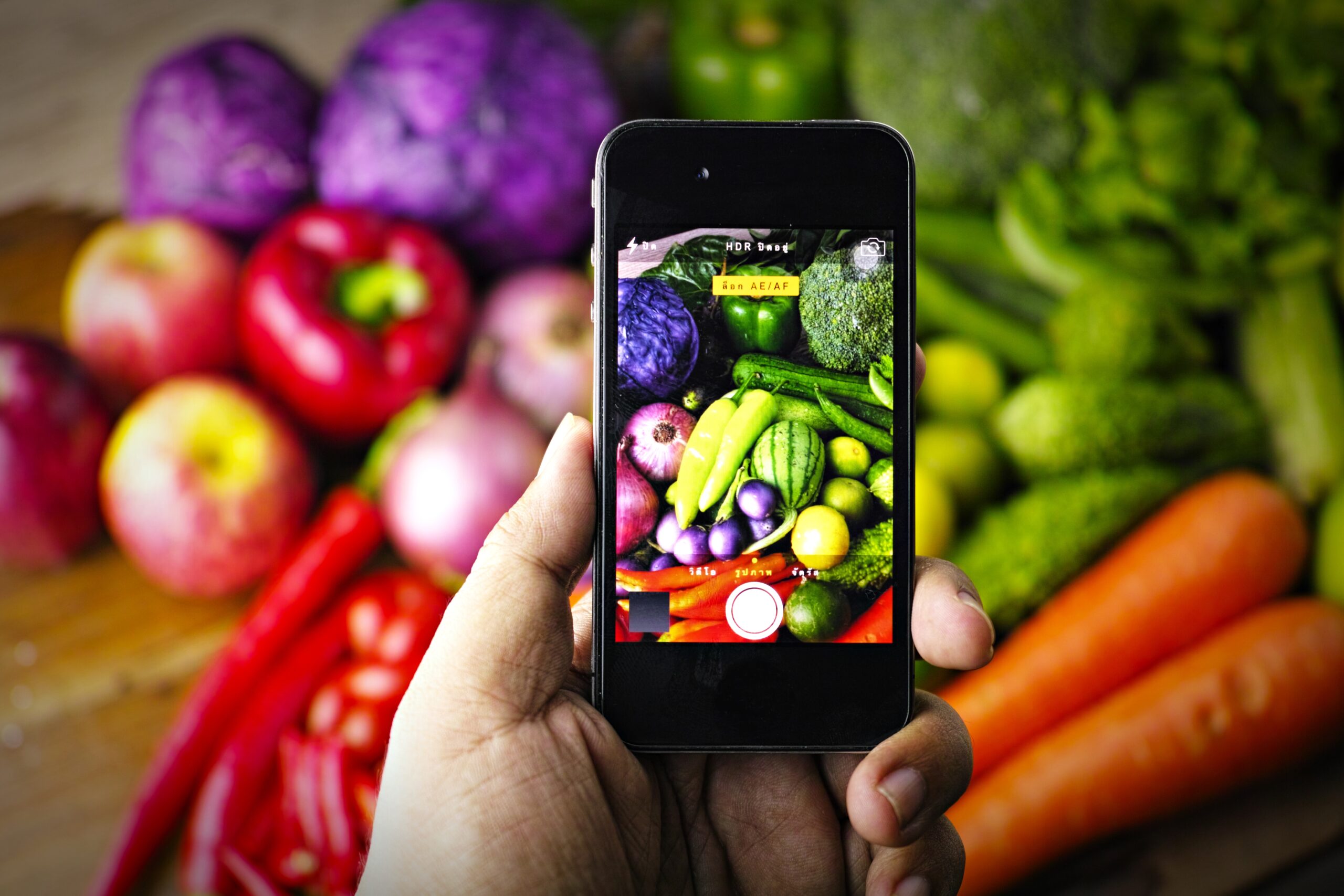 Revista Digital “Agro Orgánico | Alimentos Saludables