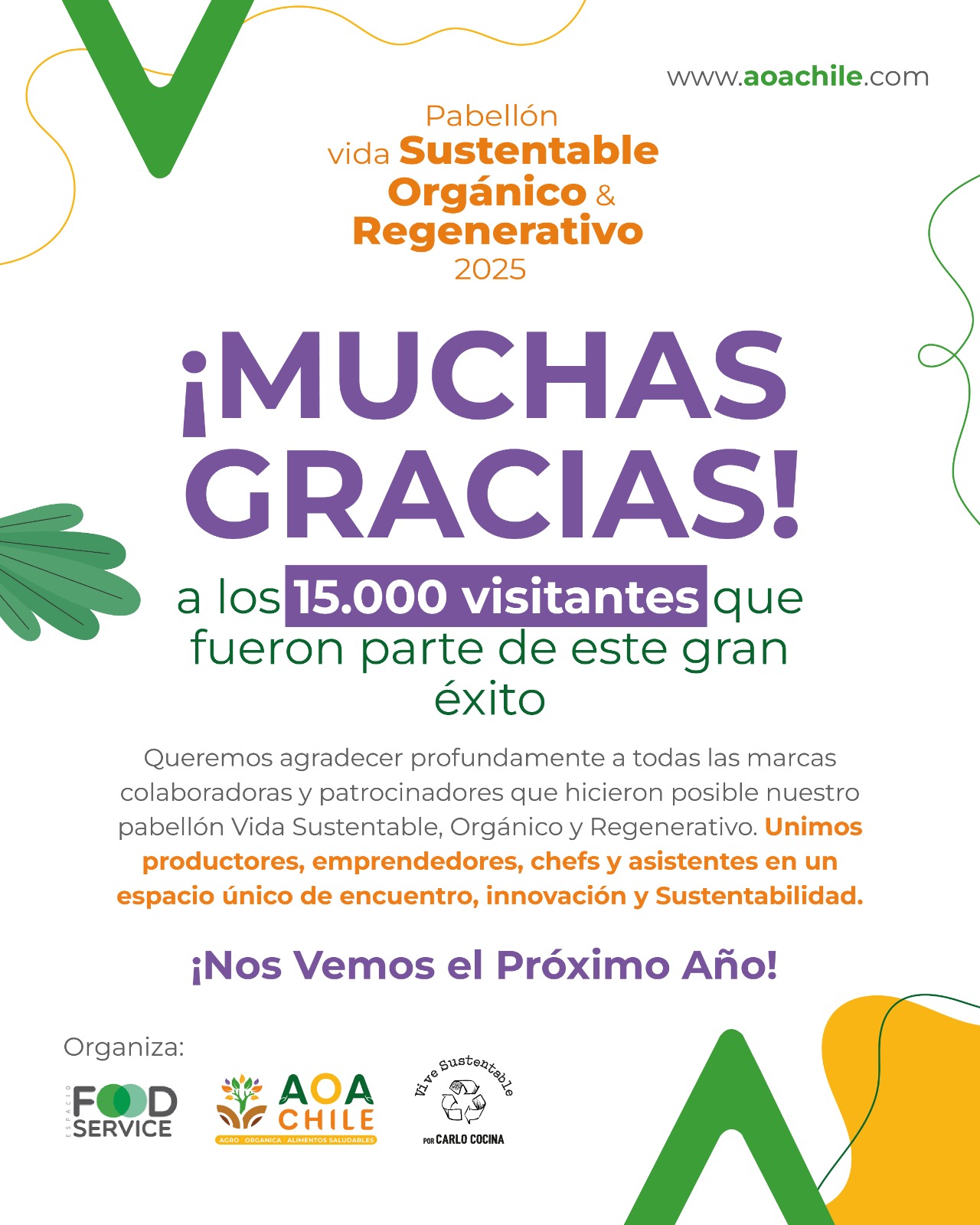 Más de AOA Chile