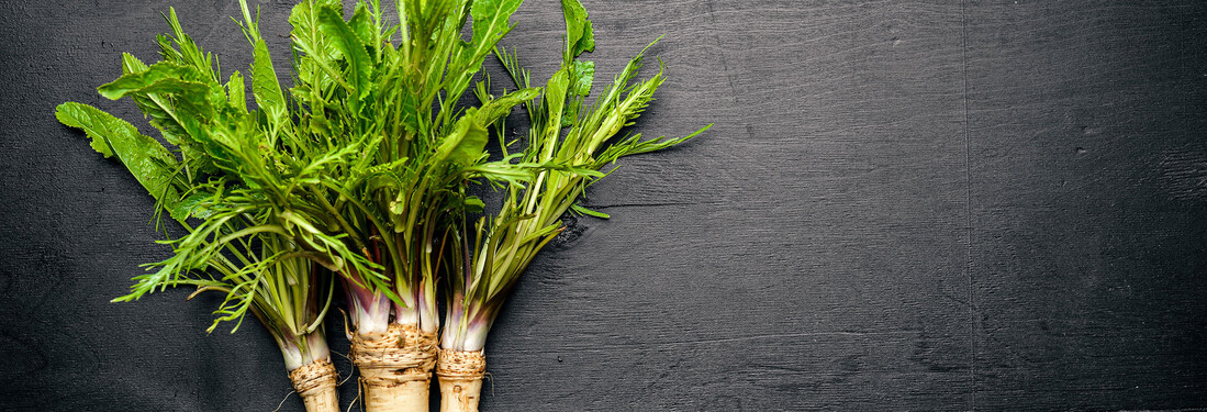 Biofach Brasil · Sao Paulo