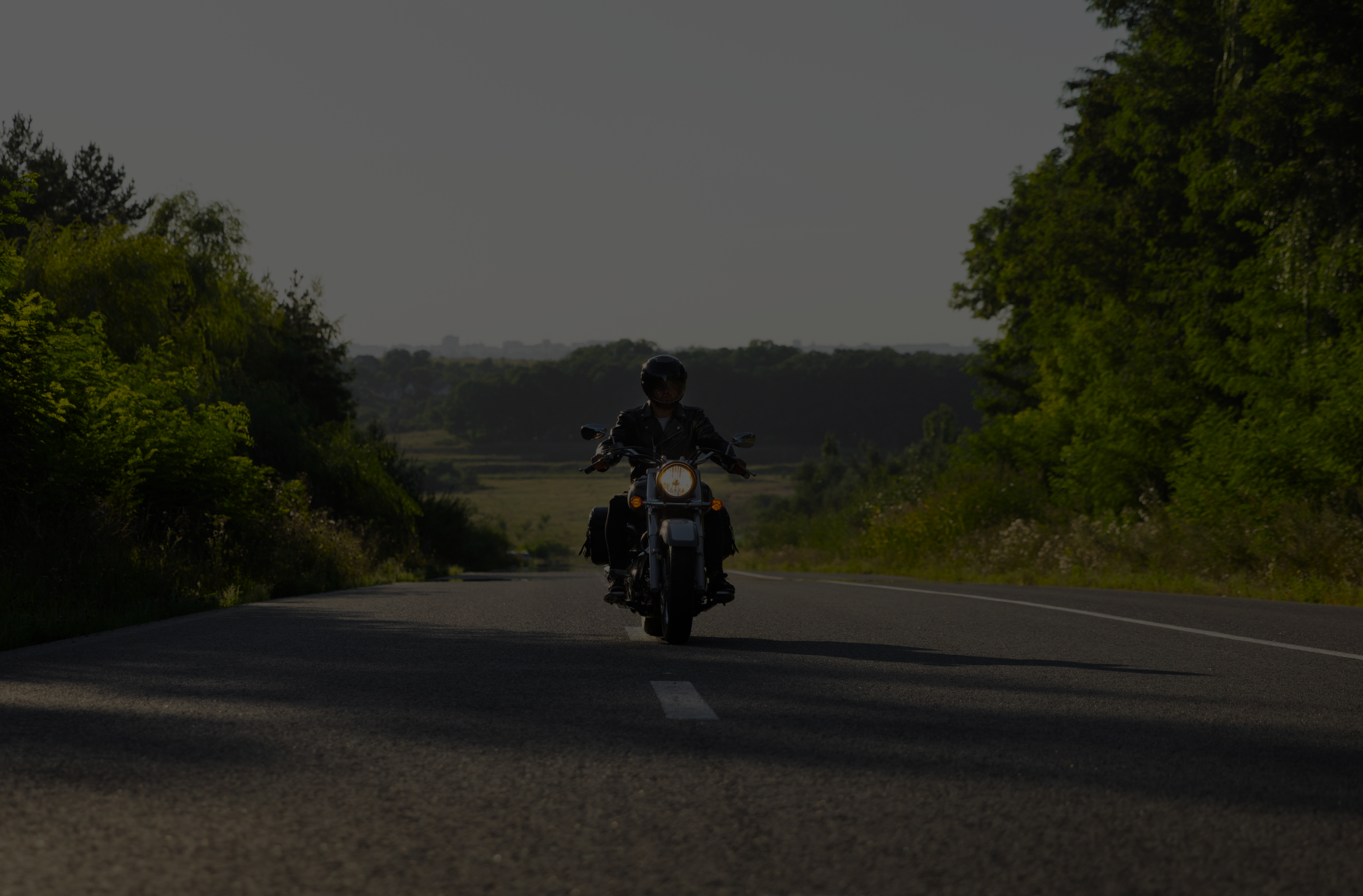 Noticias Ruta orgánica