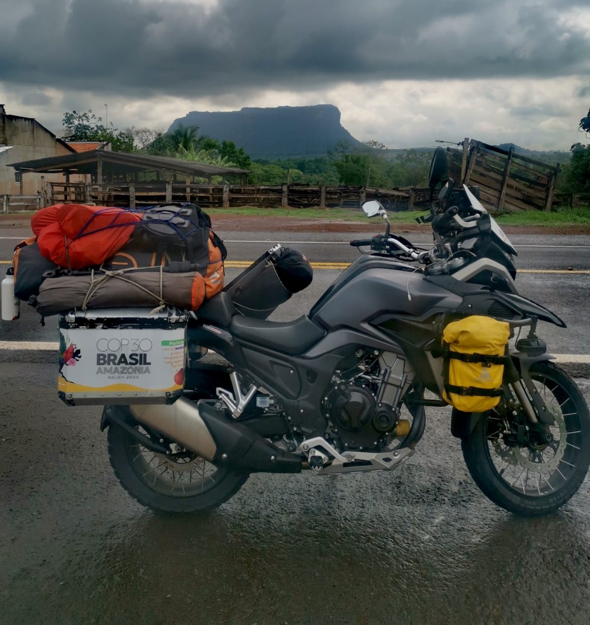 Rodrigo Rojas Ruta orgánica