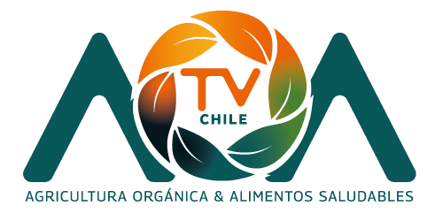AOA Chile TV y clips que muestran territorio, cocina y movimiento real. logo