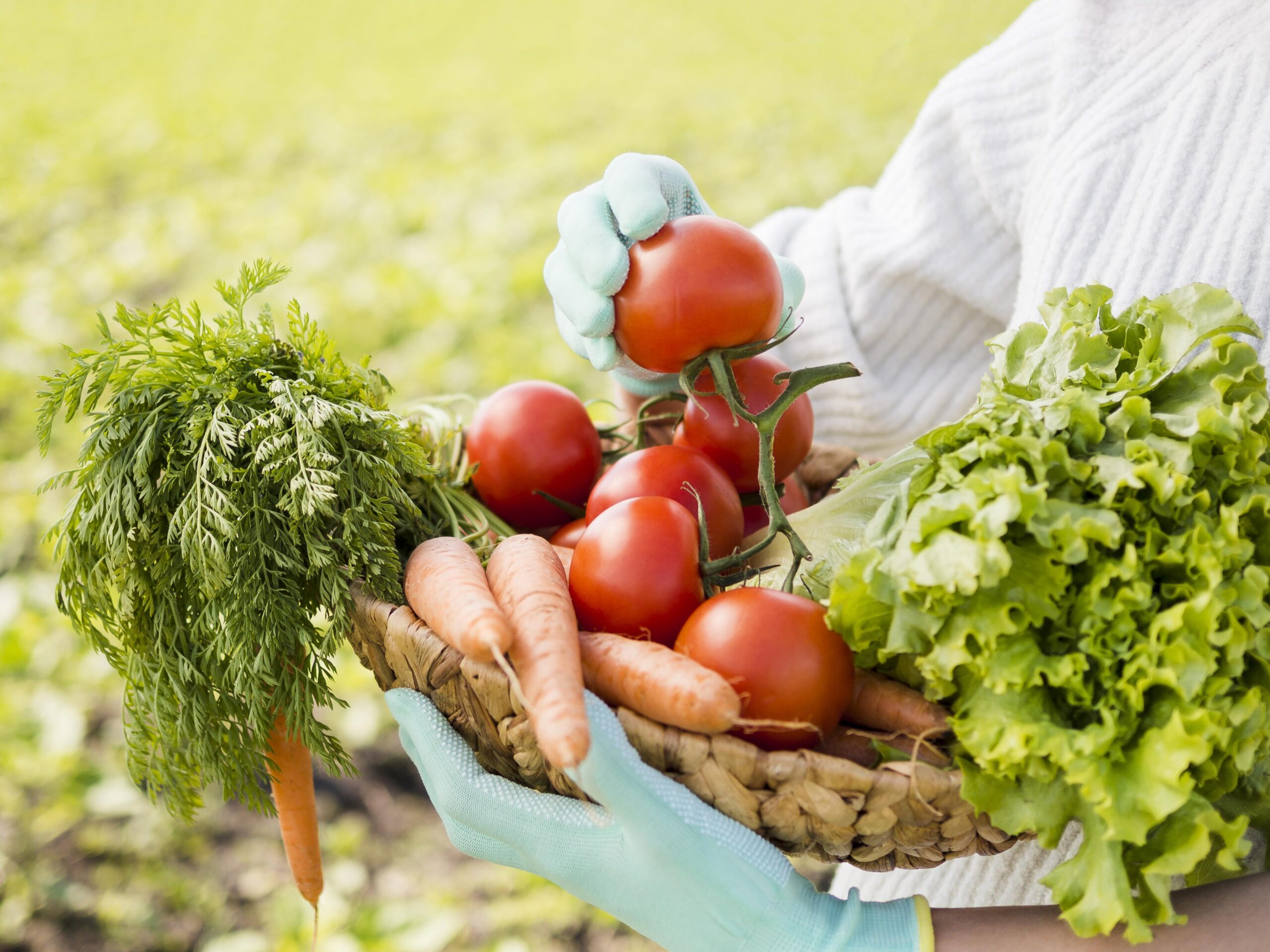 Mujer con canasta de vegetales frescos del campo