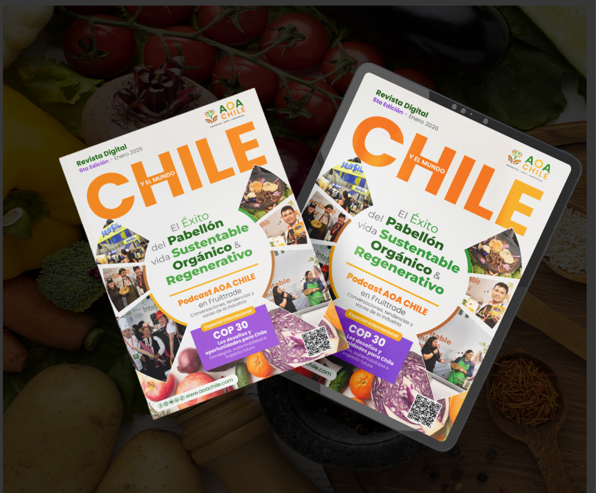 Contenido AOA Chile