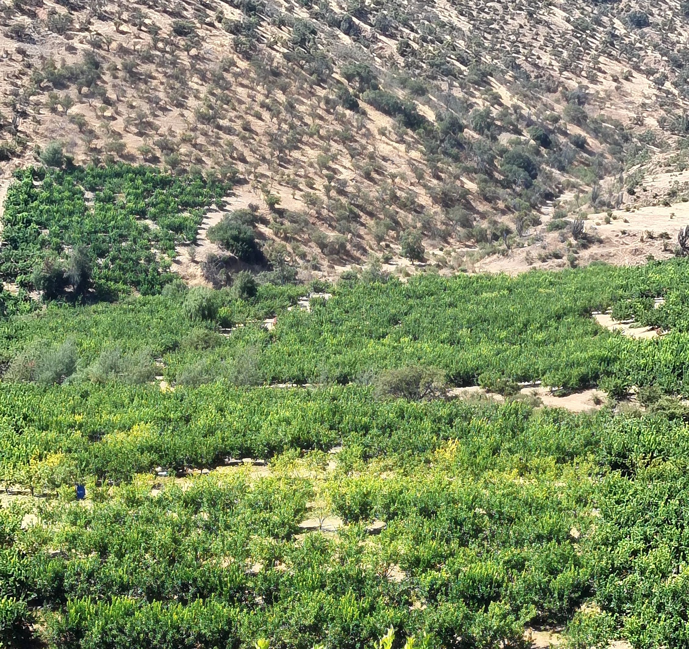 Fundo San Cristóbal, Valle de Mallarauco